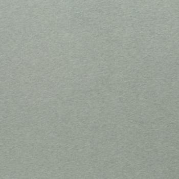 Preview: Swafing Vanessa Baumwoll Jersey Melange Mint 1263